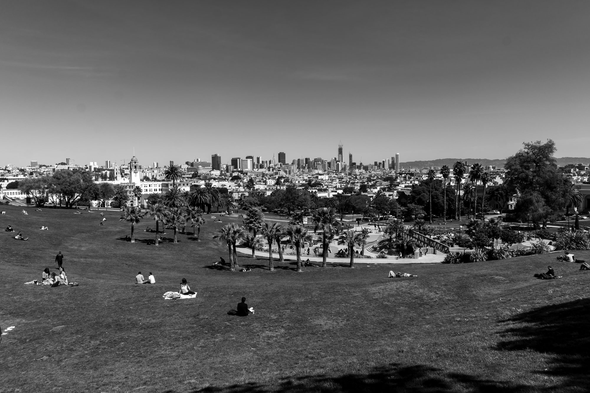 dolores-park-bw-big